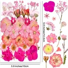 Dried Flower Pack For Crafts  37 Pink Pressed Petals  For Candle And Soap Making