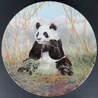 Mib The Secret World Of The Panda  a Bamboo Feast  Collectors Plate Bradford Coa