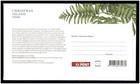 2012 First Day Cover Issue Fdc Christmas Island - Ferns - Stamps Set