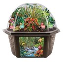 Toys By Biosphere Terrarium Starter Kit With Tropical Rainforest Jungle