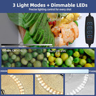 Photo Studio Light Box  Dimmable Shooting Tent Kit - 12 x12 x12  Foldable Lightb