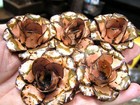 Five Medium Pink Roses  Metal Flowers For Embellishments And Accents  Pk