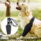 Dog Canine Hind Leg Knee Joint Wrap For Treatment And Prevention Of Injuries