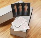 Divine Mercy 8  X 10  Vilnius Print - Ready For Framing With 5 Prayer Cards