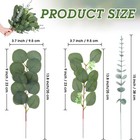 Hoteam 120 Pcs 3 Kinds Greenery Stems Silver Dollar Eucalyptus Stems Mixed Ar   