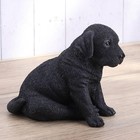 Polystone Black Labrador Retriever Puppy Sitting Home Decorative Figurine