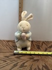Vtg Eden My First Peter Rabbit 9 Inch Plush Pastel Baby Beatrix Potter Bunny