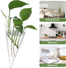 Hanging Vase Clear Wall Planter Succulent Pot For Home Decor Bedroom Living Room