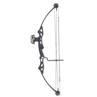 Sas Siege 55 Lb Compound Bow Hunting Target Package With Accessories 