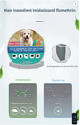 Small Dog Flea   Tick Collar 8 Month Waterproof Odorless Under 18lbs
