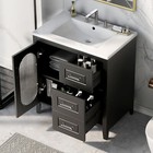 30  Bathroom Vanity With Sink  Bathroom Vanity Cabinet With Two Drawers And Door