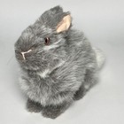 Vintage Applause Remarkable Rabbits Bunny Rabbit Plush Stuffed Animal 1989 Gray