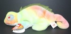 Ty Beanie Babies Iggy The Iguana 9  Tie-dyed Pvc Nmw tag Bb801 Tag Prot Errors  