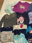 Toddler Girls Multi-brand Shirt Lot Bundle 4t 