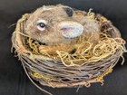    baby Cottontail    In Nest Felted Ooak 2020 By Stevi T