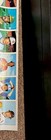 1979 Topps Baseball Card Full Sheet Uncut 144 Cards 12 Rows Roll Vintage