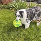Kong   Flexball Sport Waterproof Dog Toy  Extra Large