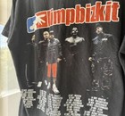 Vintage Limp Bizkit Established 1995 Black Graphic T-shirt 