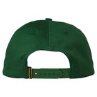 Anti Hero Skateboards Hat Basic Eagle Snapback Dark Green yellow