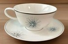 Easterling Celestial Atomic Cup And Saucer Set Bavaria Germany  10 Available 