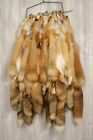 Tanned Red Fox  Winter    heavy Fur    Western - Premium Grade