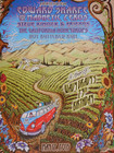 2015 Steve Kimock  Wavy Gravy s 79th Birthday - Rohnert Park Concert Poster