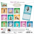 Yoga Cats Official   2027 12x24   hanging  Square Wall Calendar   Plastic-free
