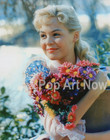 Sandra Dee     Early Hollywood Years      lot Of 2 Kodak Paper Color Repro Photos