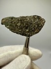 Nwa 17756 Ll3 Meteorite 7 8 Gram Full Slice  subtype 3 3  W Abundant Chondrules