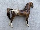 Peter Stone Horse    i   m No Angel    Chestnut Appaloosa Arabian Glossy Mare