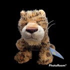 Ganz Webkinz Leopard Sealed Code Spotted Cat Plush Fuzzy Soft Stuffed Animal