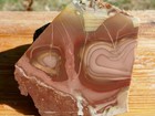 Tcr Willow Creek Obicular Jasper agate lapidary Rough Slab 115 Grams