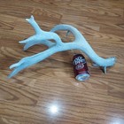  Mule Deer Antlers  Deer Sheds  Elk Antlers  Taxidermy  Crafts  Antler Crafts  
