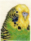 Budgerigar Budgie Bird Counted Cross Stitch Kit  Choice Of Designs   Fido Stitch
