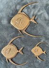 Set Of Three  Vintage Mcm Solid Brass Tropical Angel Fish Wall Hanging Decor 
