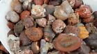 Mozambique Agate Rough  1 Pound Lots