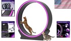 Cat Exercise Wheel Large Led Lights Abs Plastic Indoor Treadmill For Pets