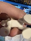Littlest Pet Shop   Lps  750 Great Dane   White And Brown   Teardrop Brown Eyes