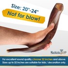 Halleluyah Original Kosher Fully-polished Kudu Shofar From Israel