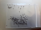 100 Zebra Silkworm Eggs  With Silkworm Feeding Guide