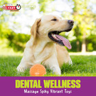 Gnawsome Medium Squeaker Ball Dog Toy  Medium 3 5   Colors Will Vary  All Breed 