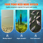 Pond Aerator Lake Pond Aeration Kit W  3 4 Hp Pump 100  Tube 8  Diffuser