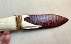 Flint Knapped Stone Knife- Stone Age - Alligator- Carrara Glass_arrowhead