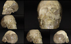 482g Natural Volcano Agate Carved Crystal Skull 3 75  Realistic Crystal Healing