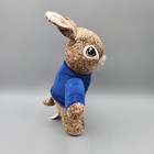 Peter Rabbit Dan Dee Brown With Shirt Great Easter Bunny Gift 7  Plush Stuffed