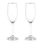 Champagne Flutes Set Elegant Toasting Glasses 2 Pieces Weddings Celebrations New