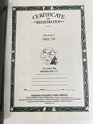 Bain Family Geneolgy Heirloom Edition Book   Soft Cover Printed In Usa