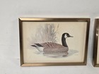Red Farm Studio Pintail Duck   Canada Goose Picture Lot