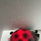 Cloud B Ladybug Twilight Projector Red Black Plush Hard Shell Nightlight Stars
