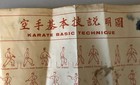 Karate Basic Technique Training Wall Chart